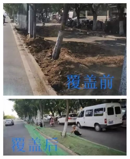 沂水县综合行政执法局 严格绿化施工管理 助力大气污染治理
